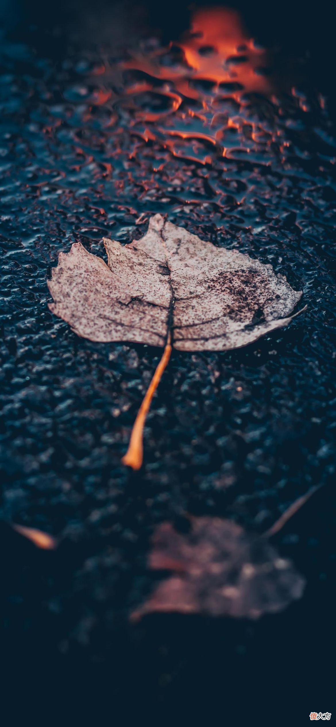 雨停了再送伞 雨停了再送伞就没意思了