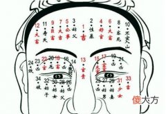 男人富贵痣解析大全