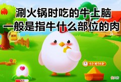 一般指的是牛的什么部位的肉 牛部位肉是什么意思