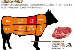各个部位的牛肉 牛肉各个部位的肉