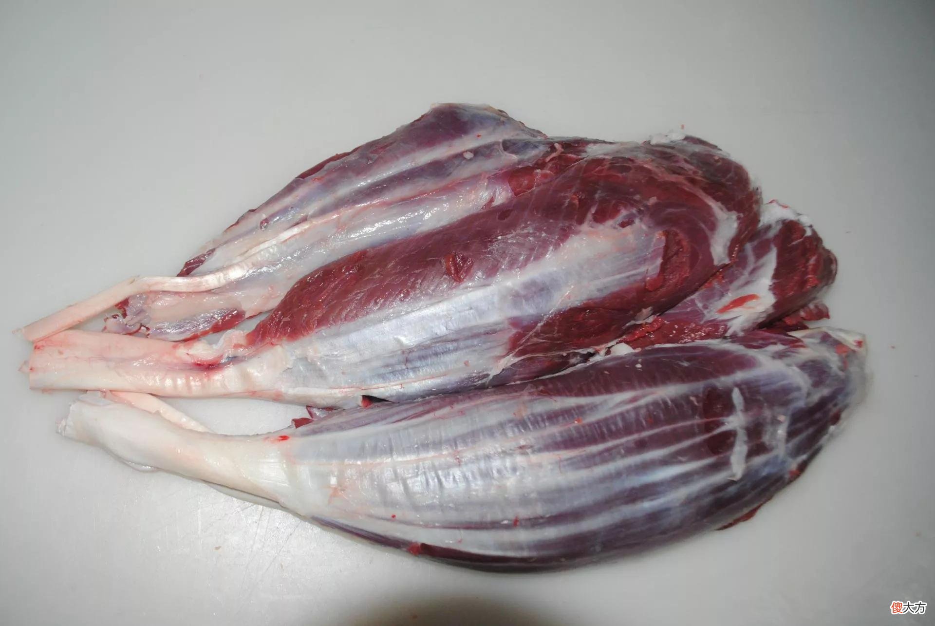 各个部位的牛肉 牛肉各个部位的肉