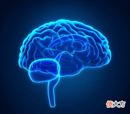 什么时候该消耗与什么时候又该储存能量 什么季节消耗能量