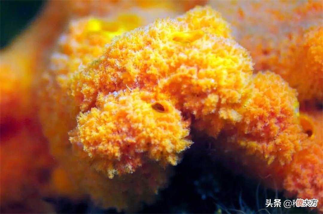 贝加尔湖是淡水湖 贝加尔湖是淡水湖嘛
