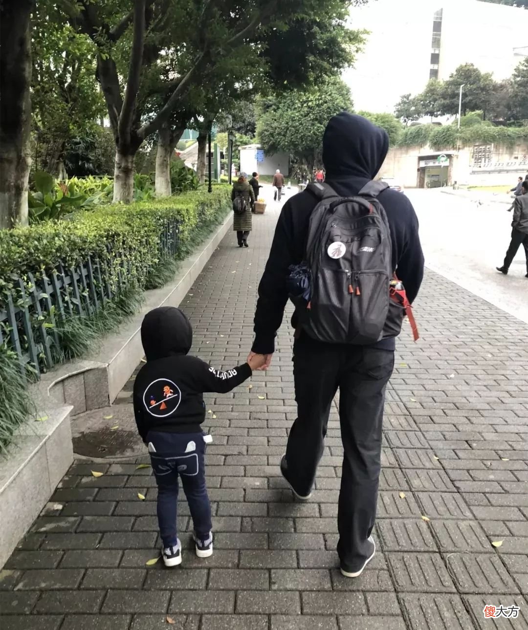 大家好，我是力嫂，憋了5年，说点心里话