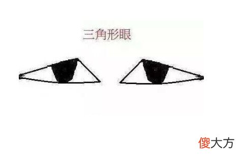 三角眼的面相分析