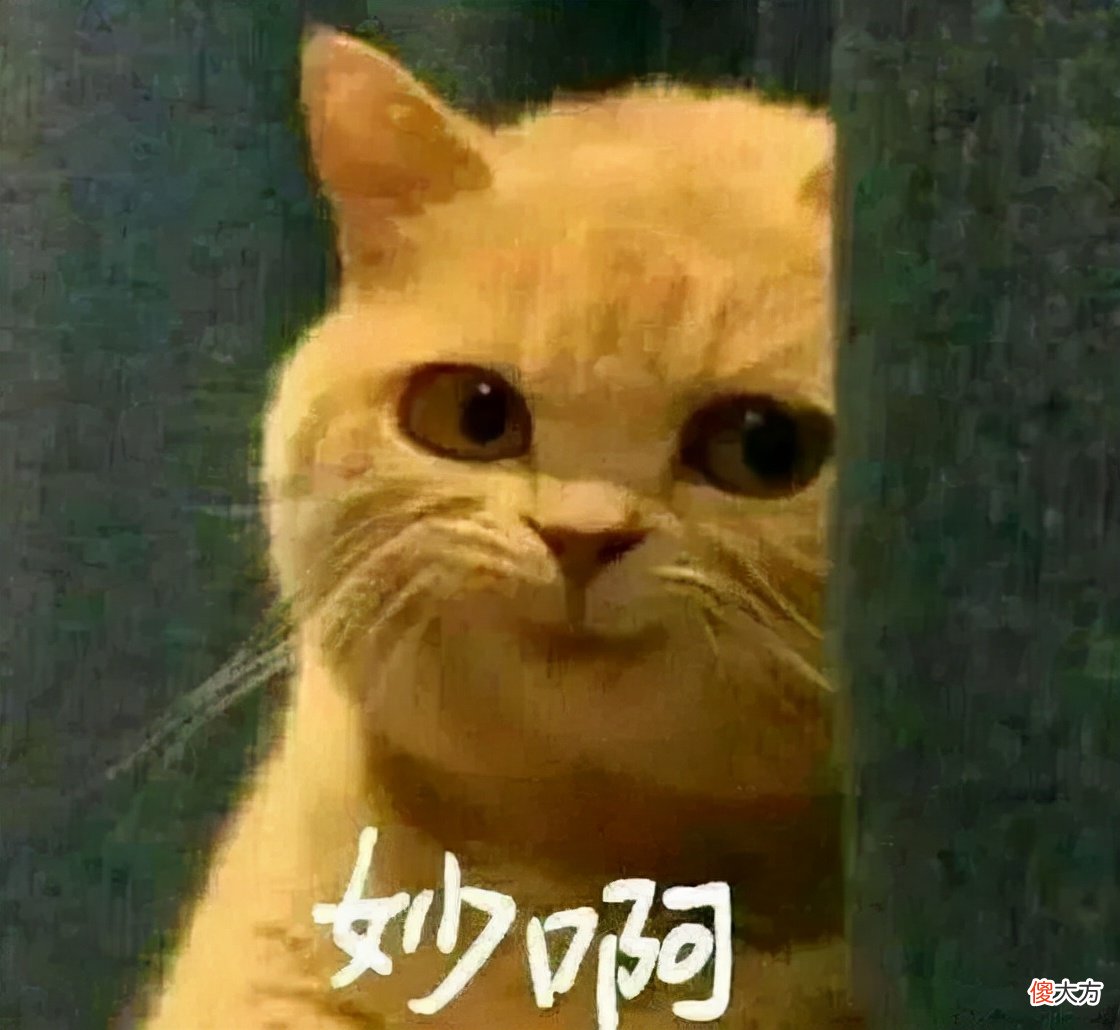 摸鱼人的自我修养
