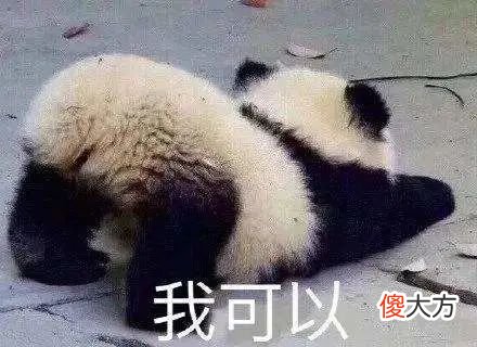 魔方公式字母代表什么转动 魔方公式字母表示什么