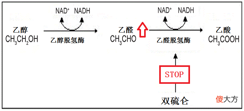 还能用酒精洗手液吗 酒精洗手液有用吗