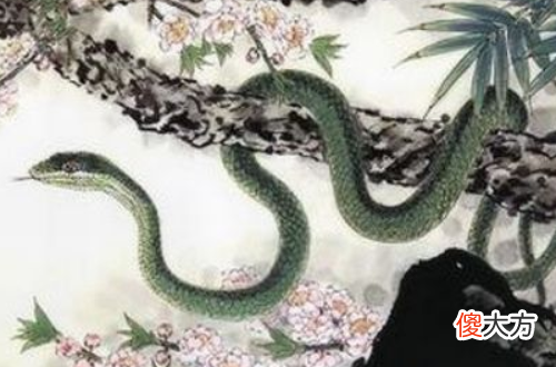 属蛇人的桃花方位