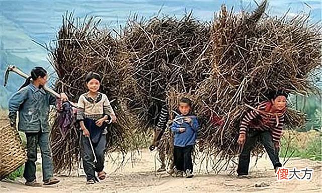 没有网络没有手机 没有网络没有手机的生活