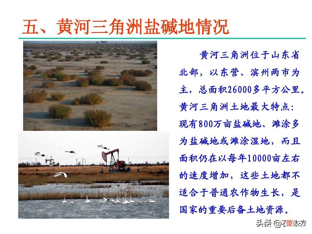 子虚乌有的苏美尔文明 苏美尔乌鲁克文明