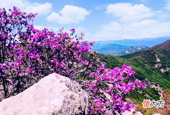 北京最高的五座山峰都是哪几座 北京最高的山峰是什么