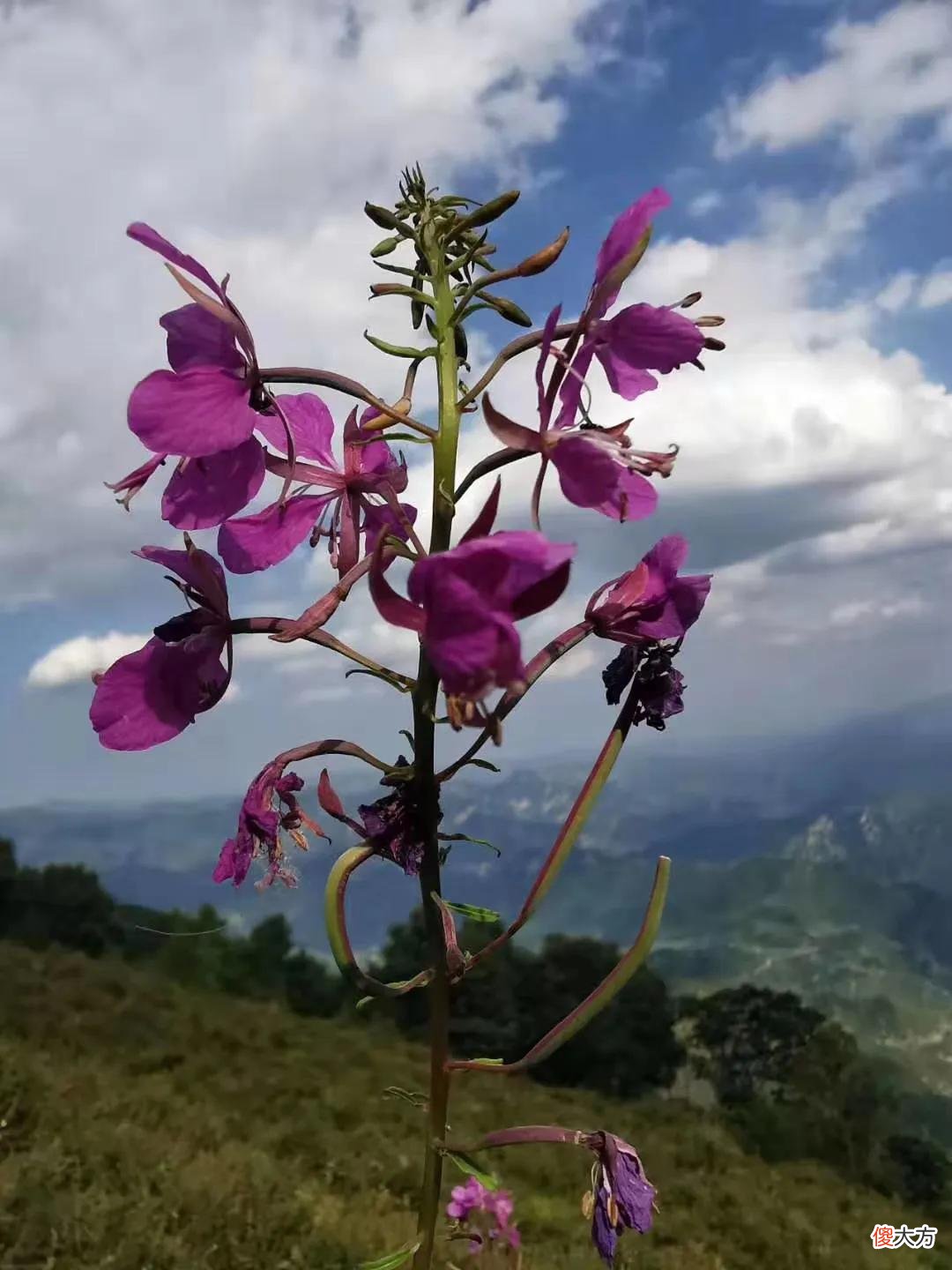 北京最高的五座山峰都是哪几座 北京最高的山峰是什么