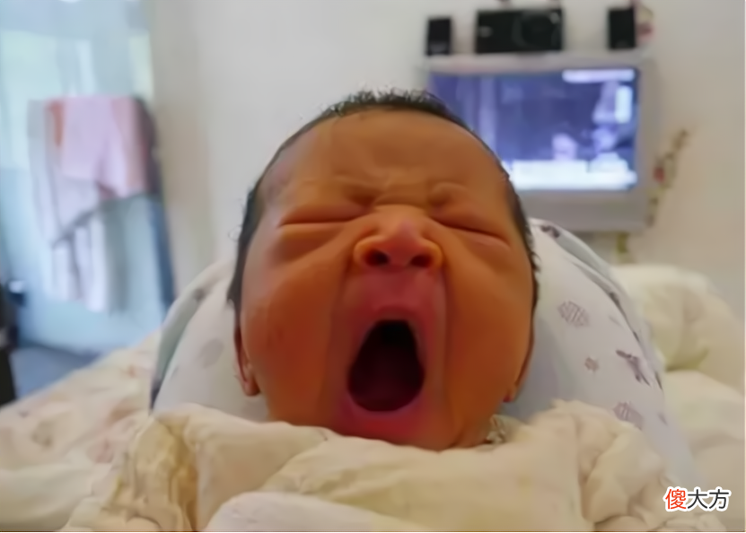 0-6个月的婴儿护理重点：护理好这5方面，宝宝少生病，发育更健康，建议收藏