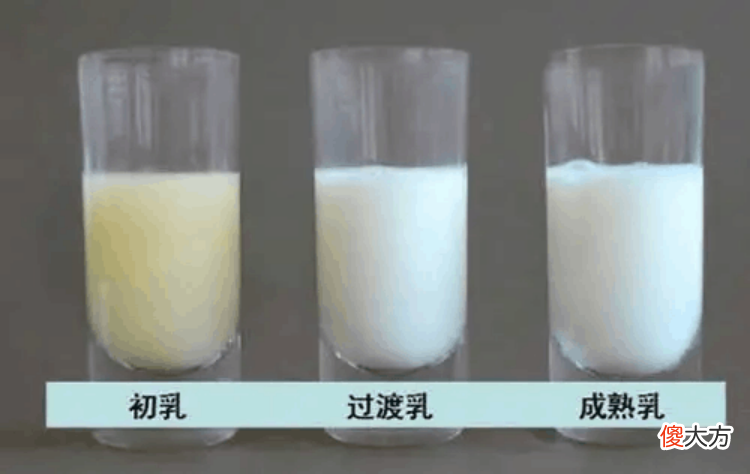 0-6个月的婴儿护理重点：护理好这5方面，宝宝少生病，发育更健康，建议收藏