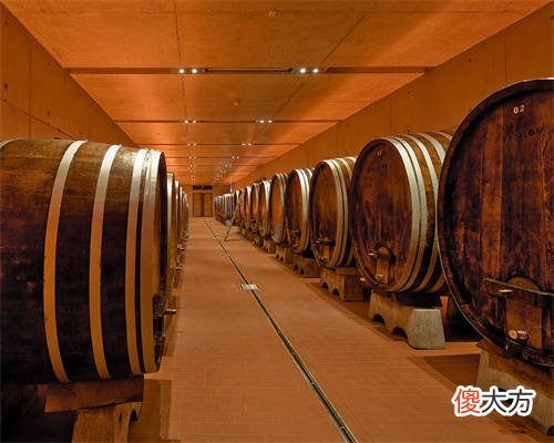 开红酒店专卖店怎么样 不懂红酒想开个红酒店