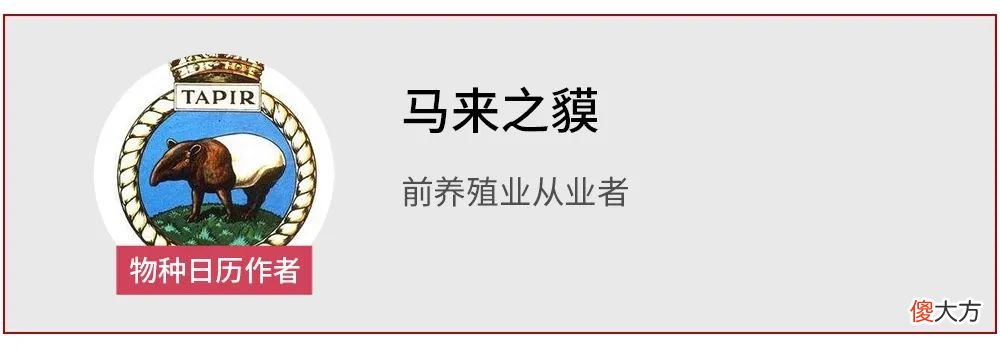 玛雅人的长脑壳 玛雅人长脑袋