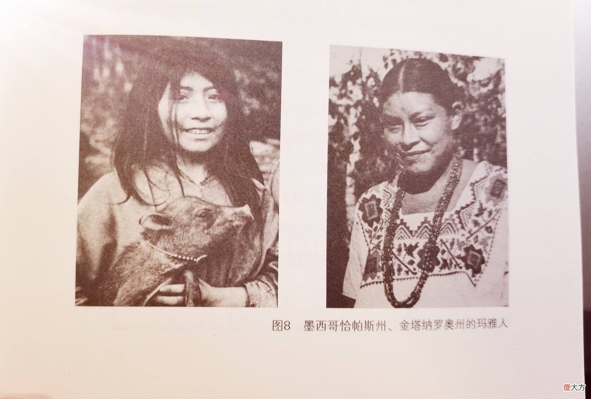 有名间谍带你探寻真实的玛雅人与玛雅文明 探索玛雅人