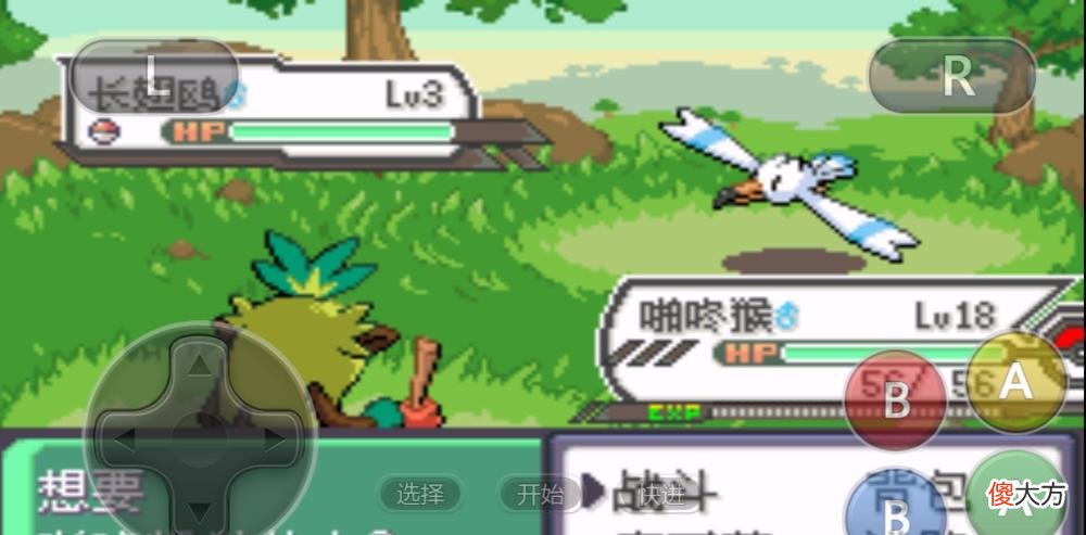 【游戏世界】口袋妖怪究极绿宝石5.3版本如何通关第四火系道馆