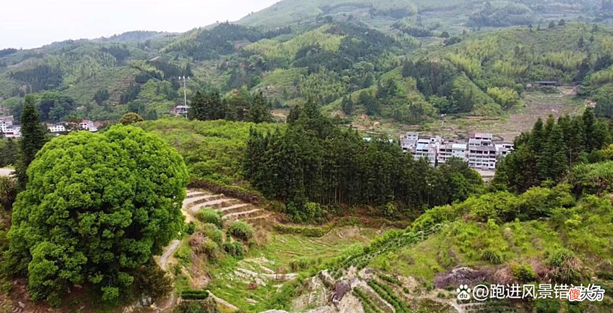 【历史故事】福建三明百年古宅，屋内留有民国时期英文报纸，后人都是大学生