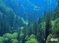 黄河滩上的家园 黄河家园位置