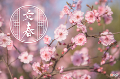 大年初四是立春 大年初四是立春可以出门吗