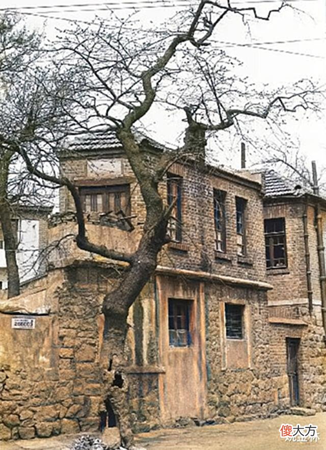 【爱历史】老照片: 90年代的山东青岛, 书院路、黄县路、国信体育场、湛山村