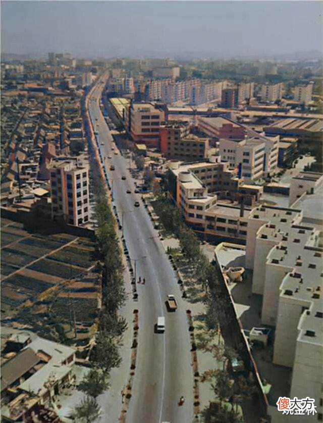 【爱历史】老照片: 90年代的山东青岛, 书院路、黄县路、国信体育场、湛山村