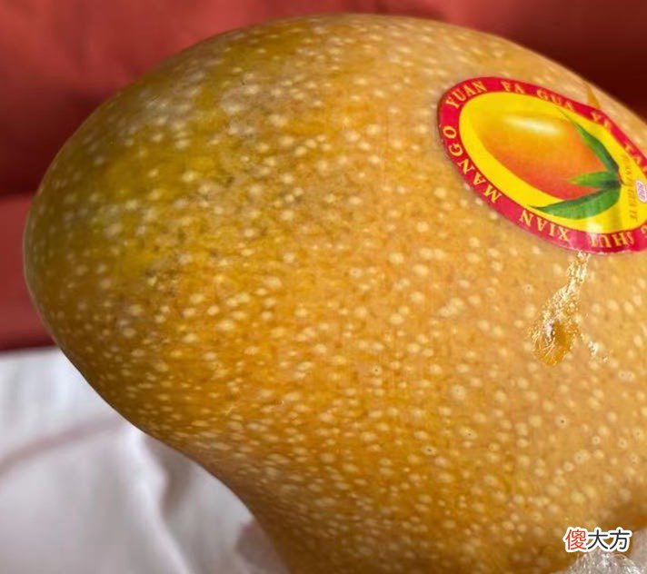 芒果到底哪个好吃 芒果中哪种芒果最好吃