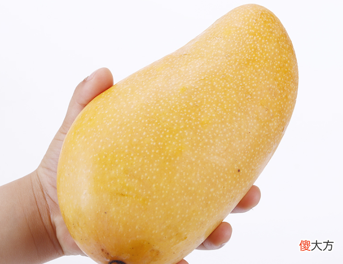哪种更适合购买 应该选购哪个