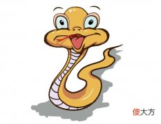 属蛇2019年运势及运程