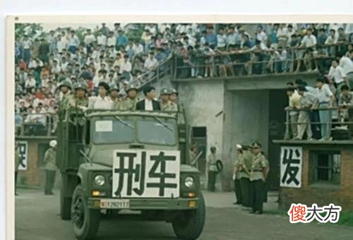 【历史故事】1984年邓公亲自批复，枪决开国元勋陈再道之子陈东平，所为何事？