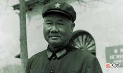 【历史故事】1984年邓公亲自批复，枪决开国元勋陈再道之子陈东平，所为何事？