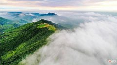【爱历史】命运真是注定的吗？怎么会在“签”上显示出了玄机！