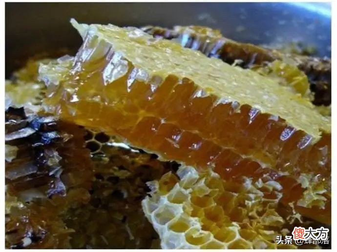 牛吃草天经地义 牛吃草啥意思