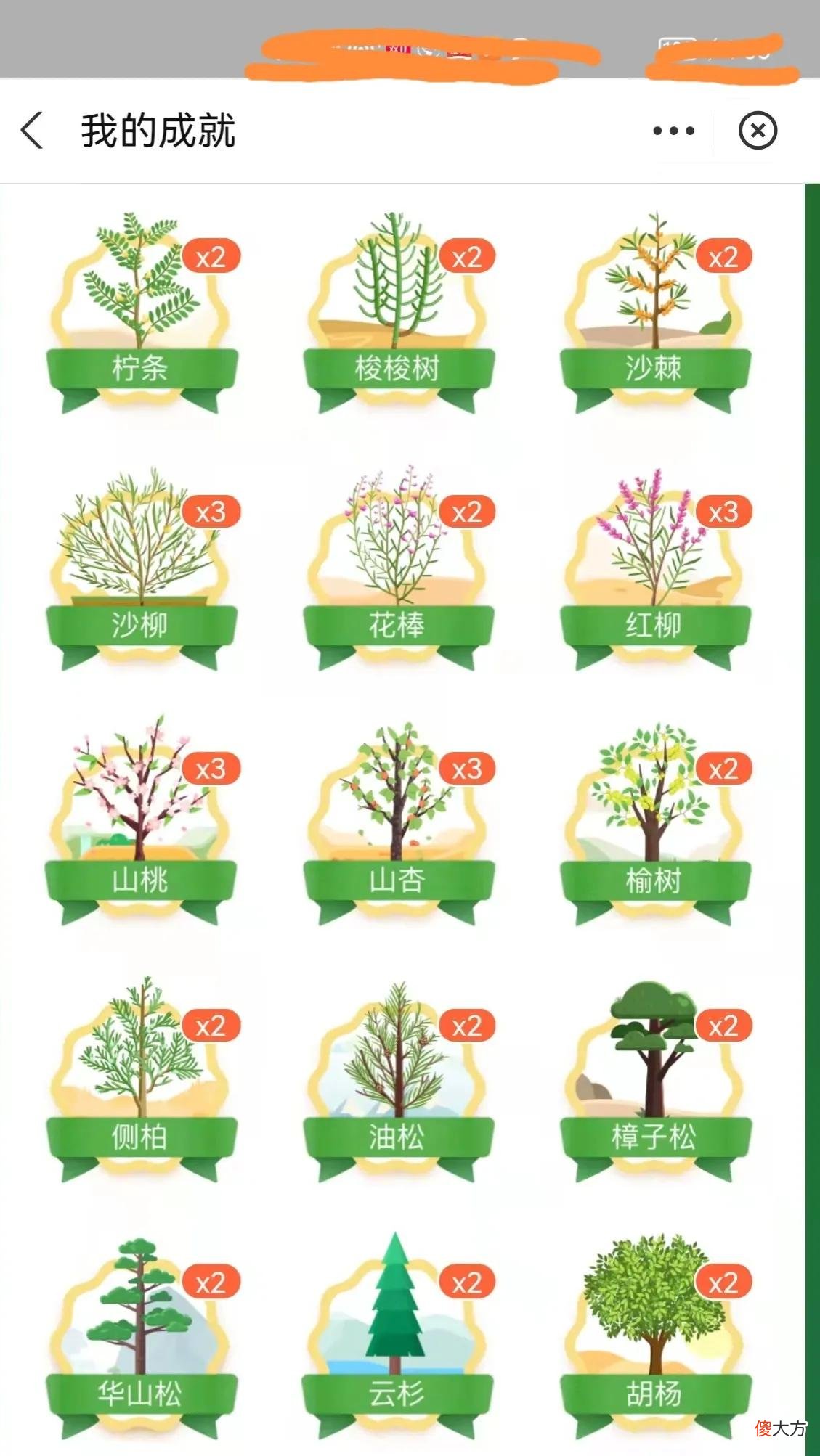 胡杨云杉华山松的三级皮肤你有吗