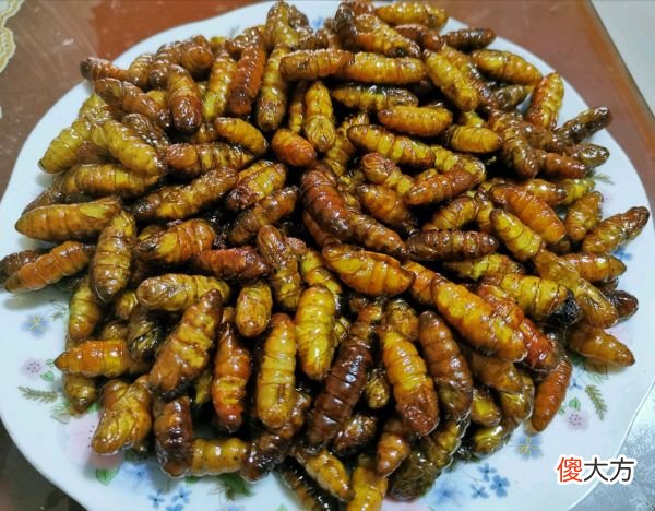 我小时候吃过的一些奇怪的东西 吃过什么奇怪的东西