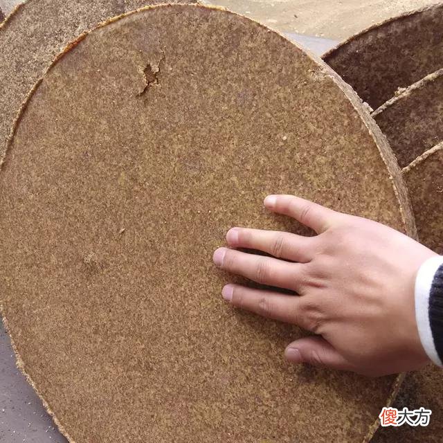 我小时候吃过的一些奇怪的东西 吃过什么奇怪的东西