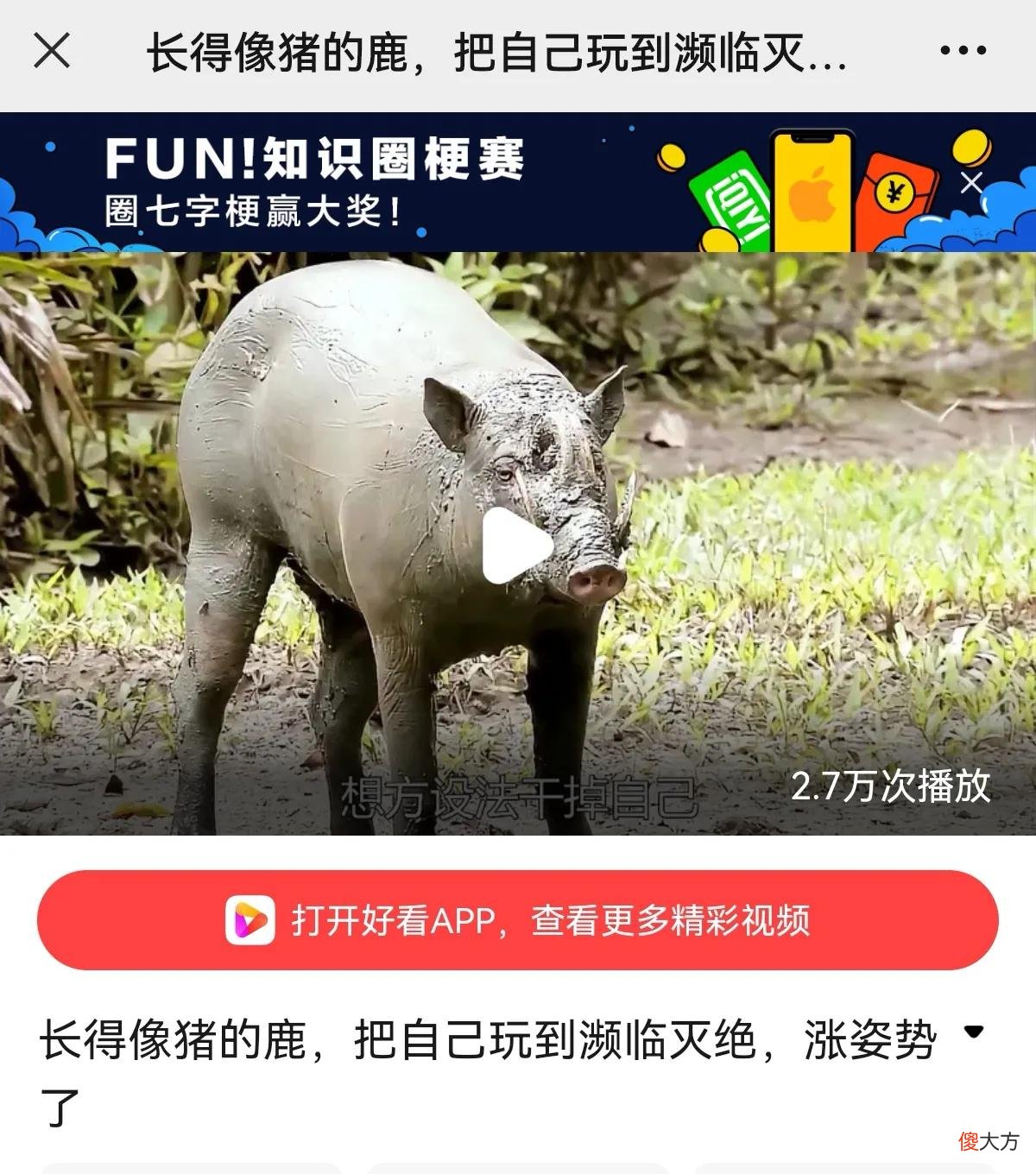 长颈鹿是鹿吗 长颈鹿是鹿?