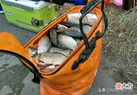 春季野钓的五条黄金法则，读懂后大鱼连竿上，狂拉鲫鱼很简单