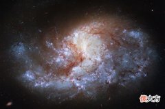 罕见中型黑洞或藏于核星团内