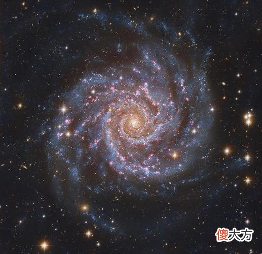 罕见中型黑洞或藏于核星团内
