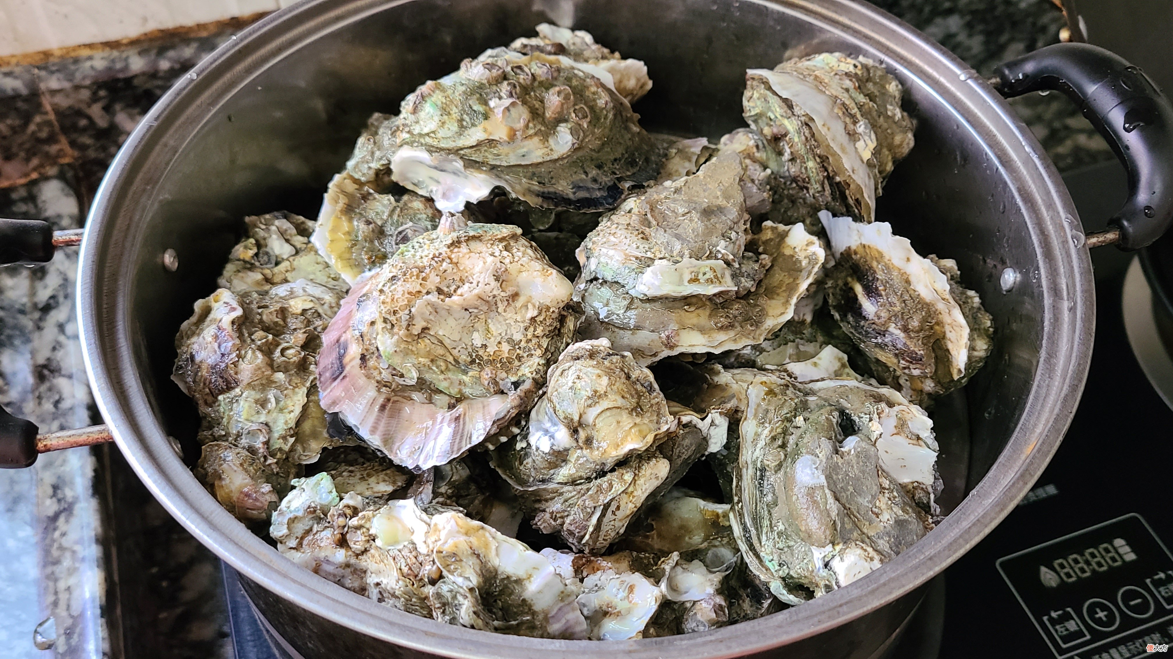 广式炒生蚝原来这么好吃，家常做法味道鲜美，看着就馋了