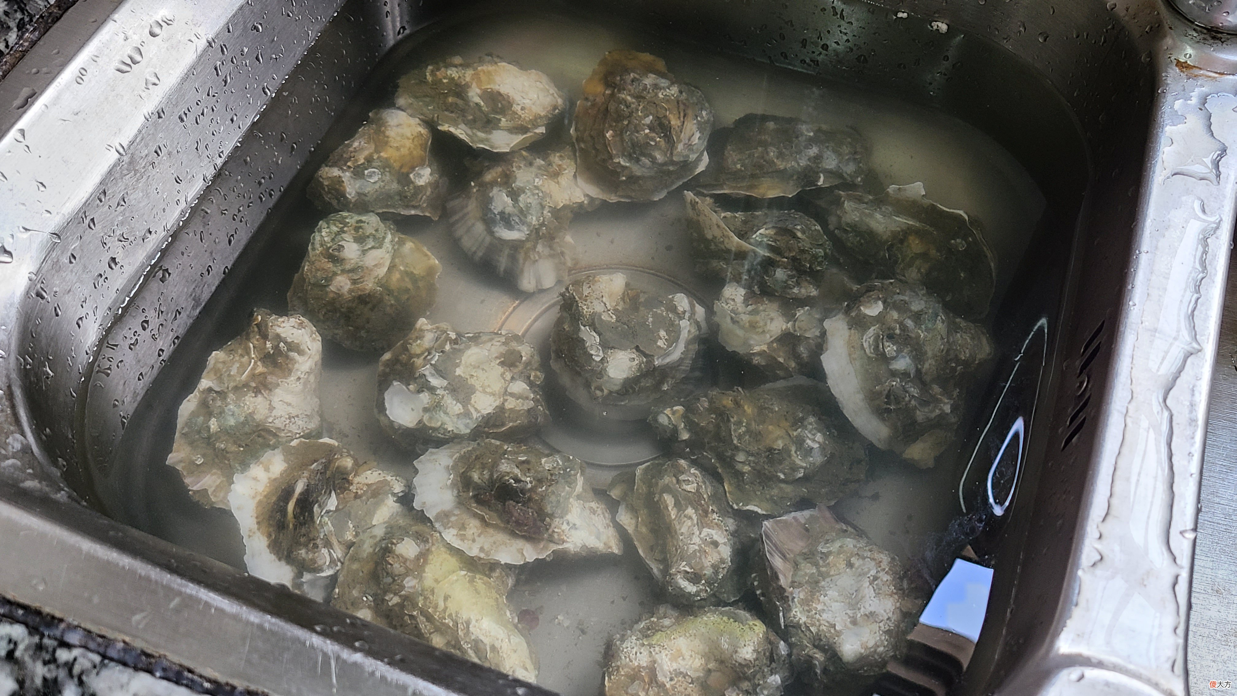 广式炒生蚝原来这么好吃，家常做法味道鲜美，看着就馋了