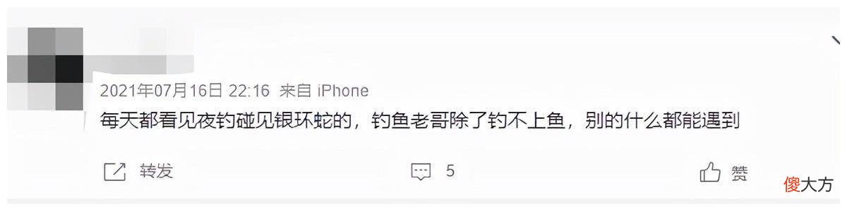中国毒蛇之首银环蛇到底多恐怖？2018年陕西女孩被咬2小时就