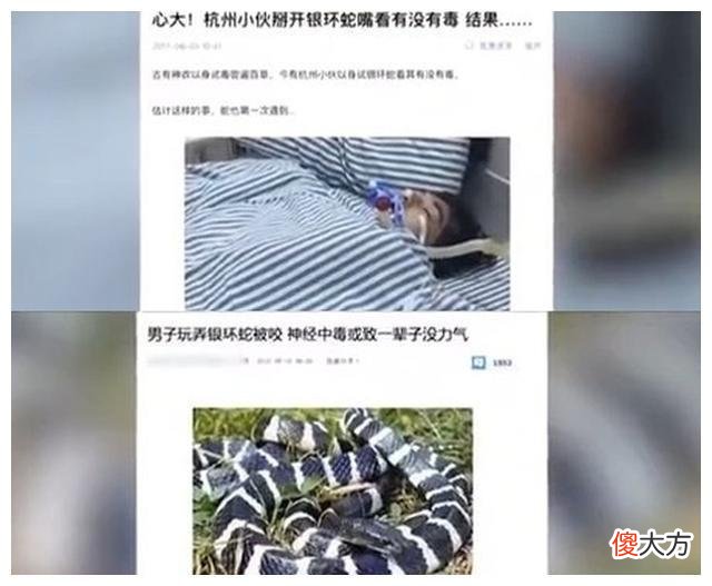 中国毒蛇之首银环蛇到底多恐怖？2018年陕西女孩被咬2小时就