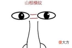 鼻梁上有横纹的面相好吗