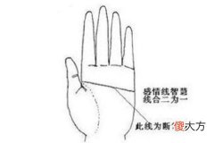 手相“断掌”解读运势