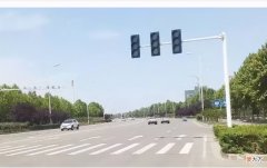那是因为不懂分辨红绿灯 红绿灯不知道