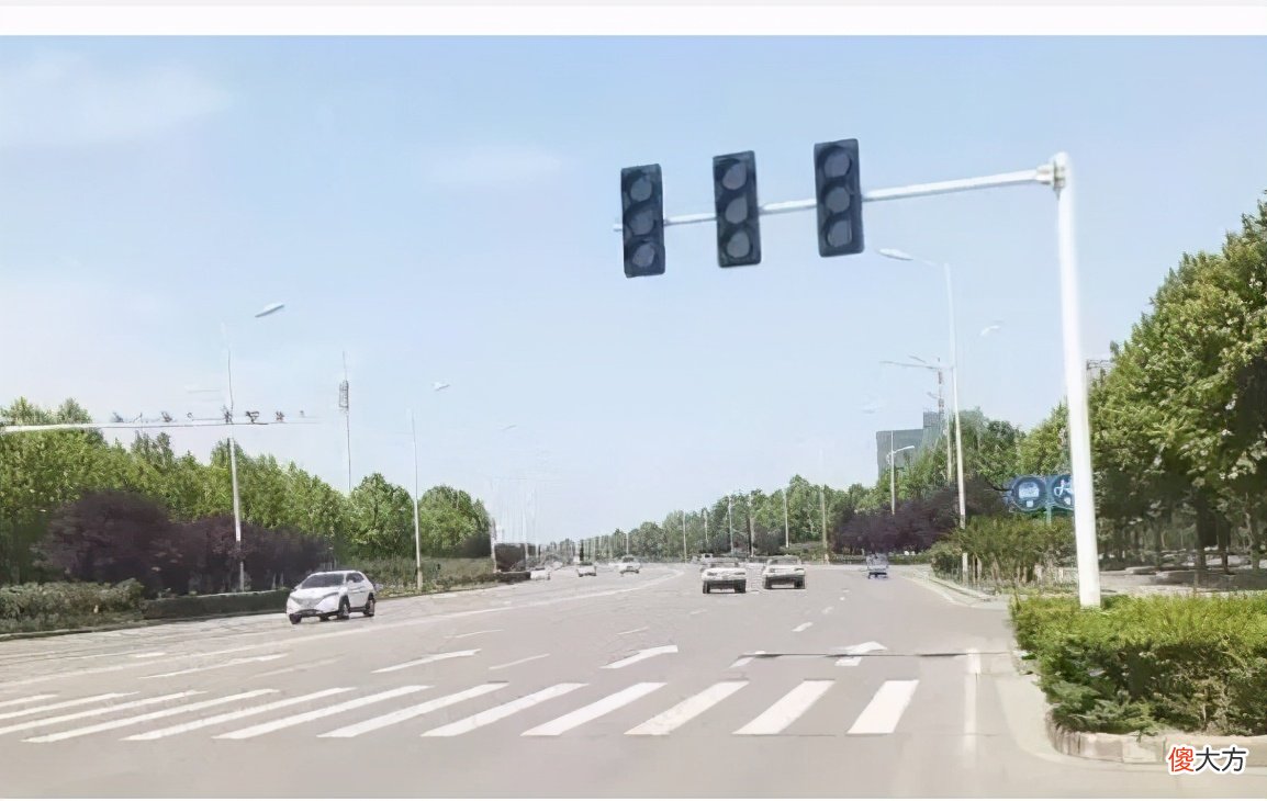 那是因为不懂分辨红绿灯 红绿灯不知道